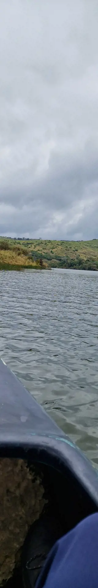 Safari auf dem Wasser